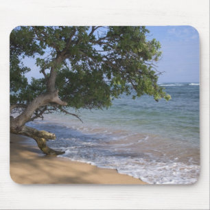 USA, Hawaii, Kauai, beach scenic. RF) Mouse Mat