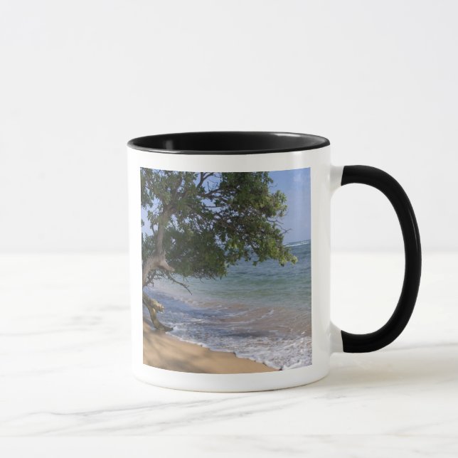 USA, Hawaii, Kauai, beach scenic. RF) Mug (Right)