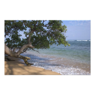 USA, Hawaii, Kauai, beach scenic. RF) Photo Print