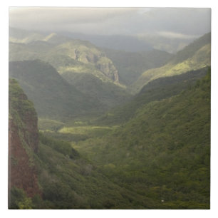USA, Hawaii, Kauai, Canyon overlook. (RF) Tile