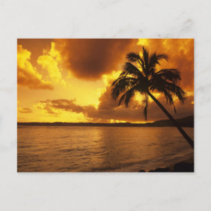 USA, Hawaii, Kauai, Colourful sunrise in a Postcard