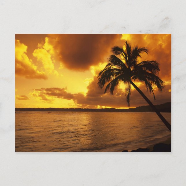 USA, Hawaii, Kauai, Colourful sunrise in a Postcard (Front)