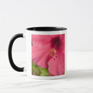 USA, Hawaii, Kauai, Hibiscus Mug