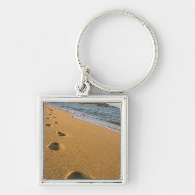 USA, Hawaii, Kauai, Kapa'a, beachfront. Key Ring (Front)