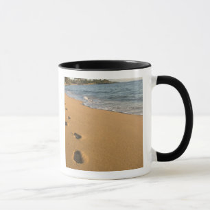 USA, Hawaii, Kauai, Kapa'a, beachfront. RF) Mug