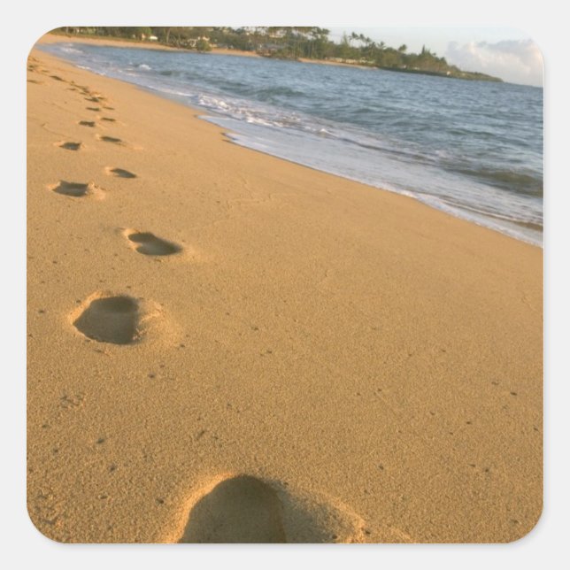 USA, Hawaii, Kauai, Kapa'a, beachfront. Square Sticker (Front)
