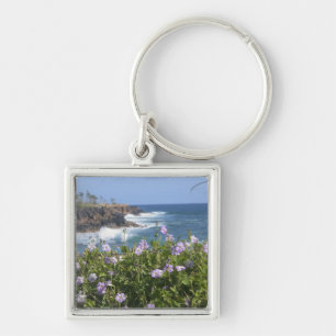 USA, Hawaii, Kauai, near Kapaa, northwest Key Ring