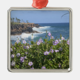 USA, Hawaii, Kauai, near Kapaa, northwest Metal Tree Decoration
