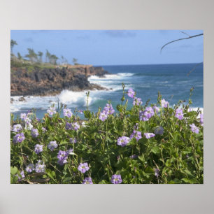USA, Hawaii, Kauai, near Kapaa, northwest Poster