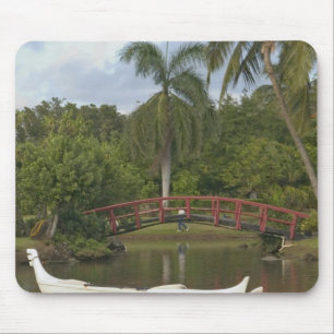 USA, Hawaii, Kauai, Smith Family Luau Garden Mouse Mat
