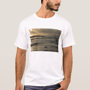 USA, Hawaii, Kauai, southwest coast, near Waimea 2 T-Shirt