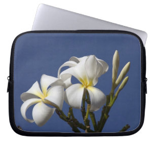 USA, Hawaii, Kauai, white plumeria. Laptop Sleeve