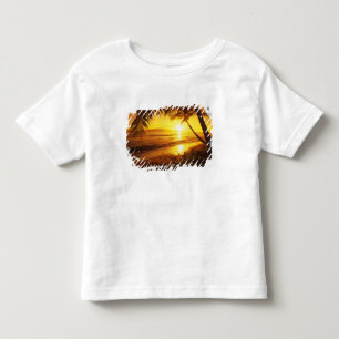 USA, Hawaii, Maui, Colourful sunset in a 2 Toddler T-Shirt