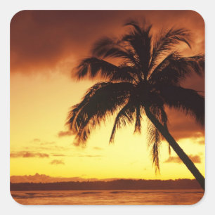 USA, Hawaii, Maui, Colourful sunset in a Square Sticker