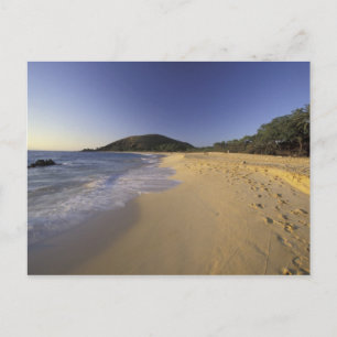 USA, Hawaii, Maui, Footprints in sand, Makena Postcard