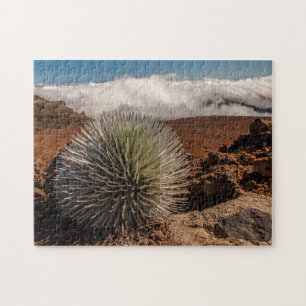 USA, Hawaii, Maui, Haleakala National Park Jigsaw Puzzle