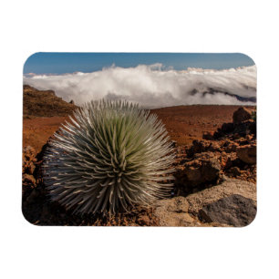 USA, Hawaii, Maui, Haleakala National Park Magnet