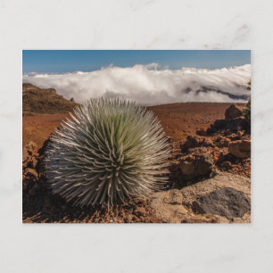 USA, Hawaii, Maui, Haleakala National Park Postcard