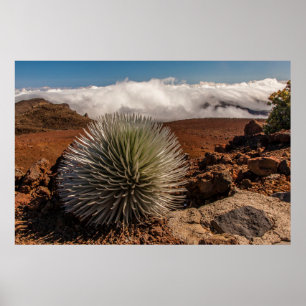 USA, Hawaii, Maui, Haleakala National Park Poster