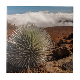 USA, Hawaii, Maui, Haleakala National Park Tile