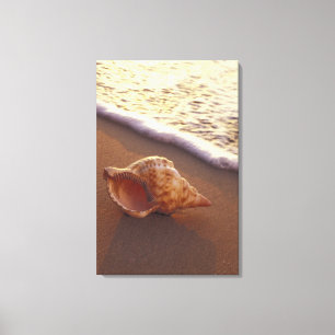 USA, Hawaii, Maui, Kihei, Evening light on Canvas Print