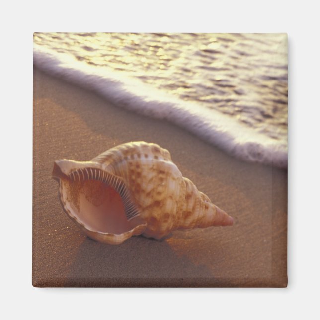 USA, Hawaii, Maui, Kihei, Evening light on Magnet (Front)