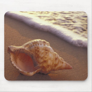 USA, Hawaii, Maui, Kihei, Evening light on Mouse Mat