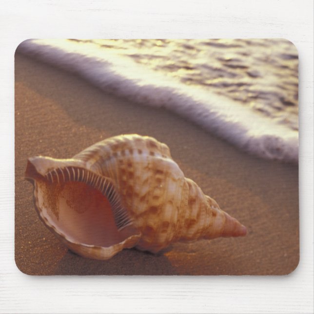 USA, Hawaii, Maui, Kihei, Evening light on Mouse Mat (Front)