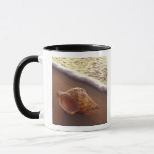 USA, Hawaii, Maui, Kihei, Evening light on Mug