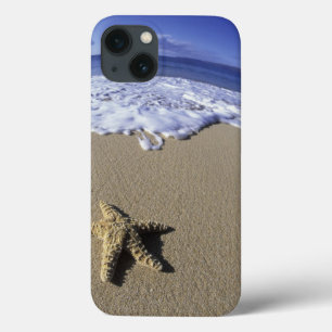 USA, Hawaii, Maui, Makena Beach, Starfish and iPhone 13 Case