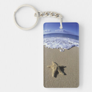 USA, Hawaii, Maui, Makena Beach, Starfish and Key Ring