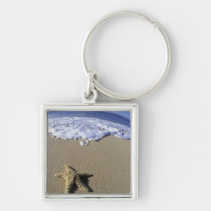 USA, Hawaii, Maui, Makena Beach, Starfish and Key Ring
