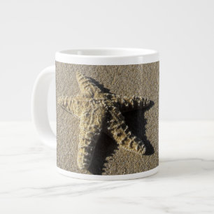 USA, Hawaii, Maui, Makena Beach, Starfish and Large Coffee Mug