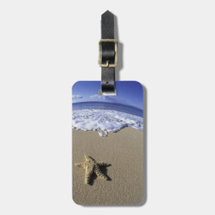 USA, Hawaii, Maui, Makena Beach, Starfish and Luggage Tag