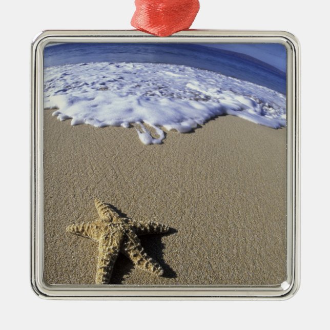 USA, Hawaii, Maui, Makena Beach, Starfish and Metal Tree Decoration (Front)