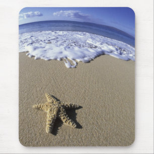 USA, Hawaii, Maui, Makena Beach, Starfish and Mouse Mat
