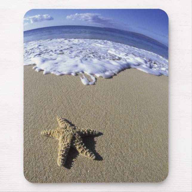 USA, Hawaii, Maui, Makena Beach, Starfish and Mouse Mat (Front)