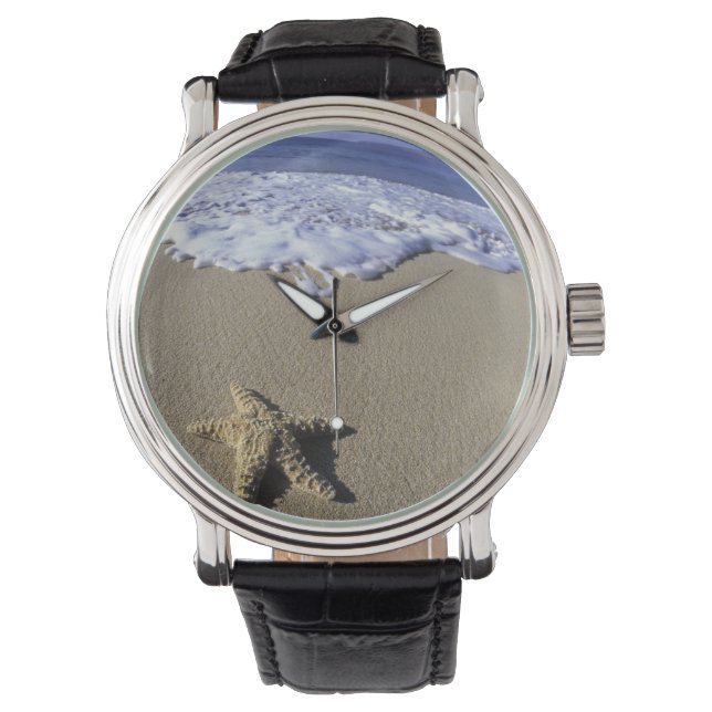 USA, Hawaii, Maui, Makena Beach, Starfish and Watch (Front)