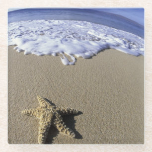 USA, Hawaii, Maui, Makena Beach, Starfish Glass Coaster