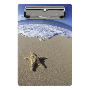 USA, Hawaii, Maui, Makena Beach, Starfish Mini Clipboard