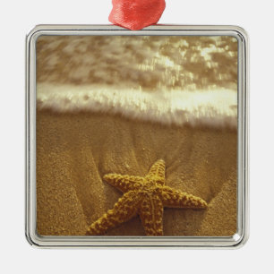 USA, Hawaii, Maui, Maui, Kihei, Starfish and Metal Tree Decoration