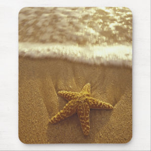 USA, Hawaii, Maui, Maui, Kihei, Starfish and Mouse Mat