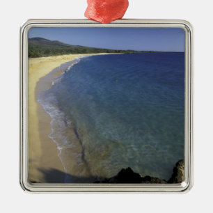 USA, Hawaii, Maui, Maui, Makena Beach, Metal Tree Decoration