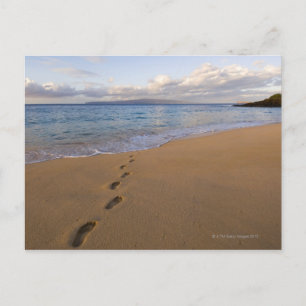 USA, Hawaii, Maui, Wailea, footprints on beach 2 Postcard