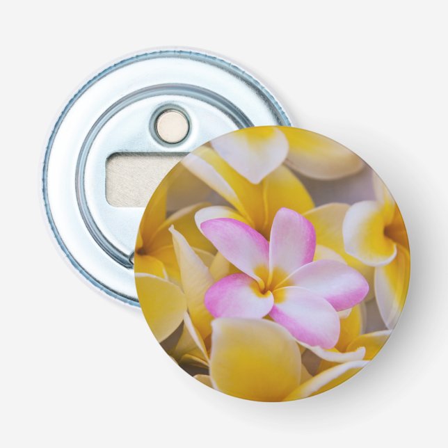 USA, Hawaii, Oahu, Plumeria flowers in bloom 1 Bottle Opener (Front)