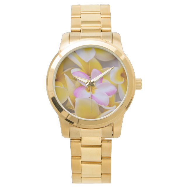 USA, Hawaii, Oahu, Plumeria flowers in bloom 1 Watch (Front)