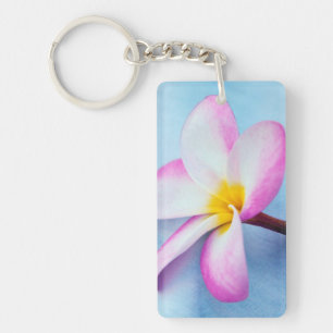 USA, Hawaii, Oahu, Plumeria flowers in bloom 2 Key Ring