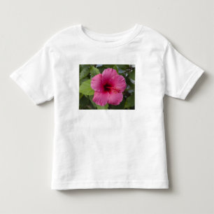 USA, Hawaii, Oahu. The Hibiscus is the 2 Toddler T-Shirt