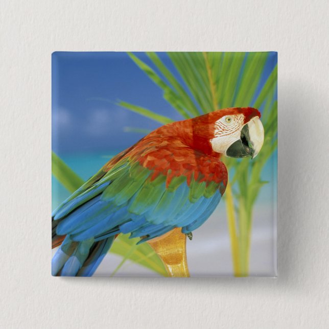 USA, Hawaii. Parrot 15 Cm Square Badge (Front)