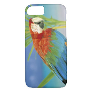 USA, Hawaii. Parrot iPhone 8/7 Case